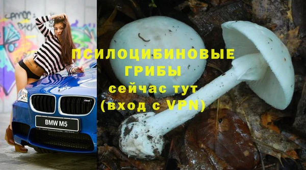 трава Покачи
