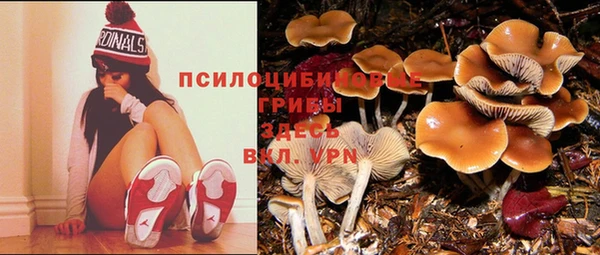 герыч Покровск
