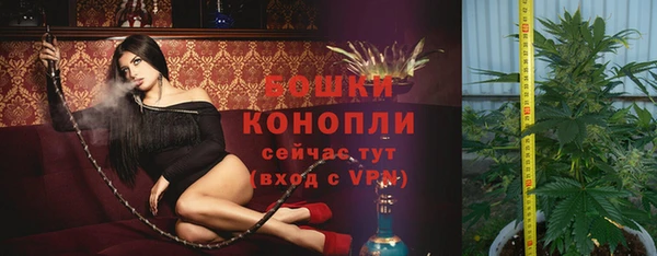 трава Покачи
