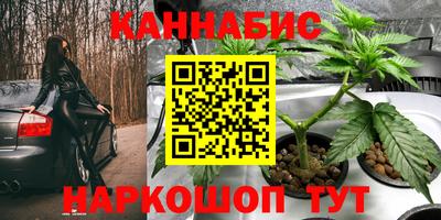 прущие грибы Усть-Илимск