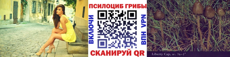 Галлюциногенные грибы GOLDEN TEACHER  Раменское 