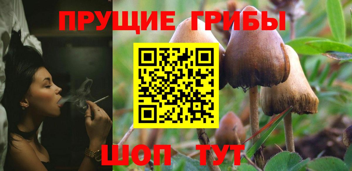 Псилоцибиновые грибы GOLDEN TEACHER  Вход с VPN  Раменское 