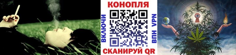 цена наркотик  Раменское  Бошки марихуана марихуана 